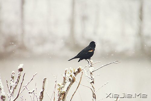 文字：成长的味道 (5)